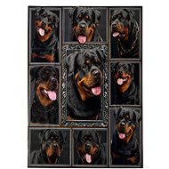 Excellent Micro plush warm blanket 150 × 200 cm - Rottweiler/2 - Blanket
