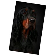 Excellent Micro plush warm blanket 100 ×150 cm - Cocker Spaniel black and tan - Blanket