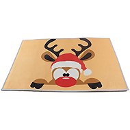 APT DA322 Mats with Christmas motif 60 × 40 cm - Doormat