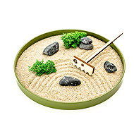 Gardners Zen Garden Diameter 22cm, Green - Zen Garden