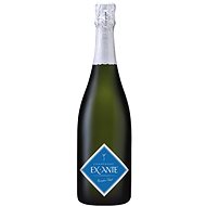 Ex Ante by Alexandre Penet 0.75l 12% - Champagne