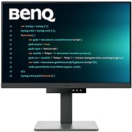 24,1" BenQ RD240Q - Monitor