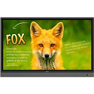 65 "BenQ RP653K - Large-Format Display