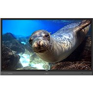 86" BenQ RP860K - Large-Format Display