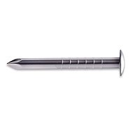 WT WINTECH Upholstery nail 1,8 × 25 mm / pack 5 kg - Nails