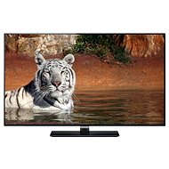 39" Panasonic TX-L39E6EK black - Television