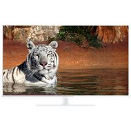 42" Panasonic TX-L42E6EW bílá - Television