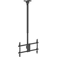 STELL SHO 3901 - Ceiling Mount