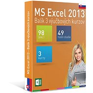 GOPAS MS Excel 2013 - 3 Self-study Courses for 365 Days SK (Electronic License) - Education Program