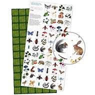 Memory game In the forest "Way home" - Charity
