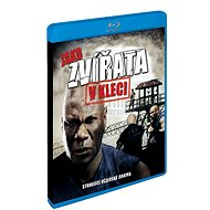 The Wrath of Cain - Blu-Ray Film
