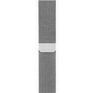 Apple 42mm Silver Milan DEMO - Watch Strap