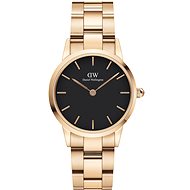 Daniel Wellington Iconic Link DW00100214 - Women's Watch