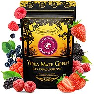 Yerba Mate Green Fruit Force - 500g - Tea