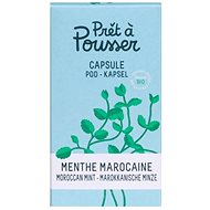 Pret and Pousser Moroccan Mint Pod - Seedling Planter