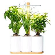 Pret and Pousser Lilo UE - Smart Flower Pot