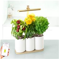 Pret a Pousser Lilo Edition - Smart Flower Pot