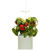 Pret a Pousser Nano - Smart Flower Pot