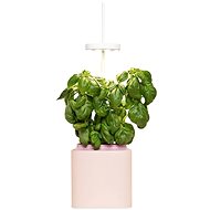 Pret a Pousser Nano Quartz Pink - Smart Flower Pot