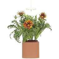Pret a Pousser Nano Terracota - Smart Flower Pot