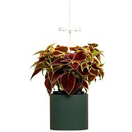 Pret a Pousser Nano Forest Green - Smart Flower Pot