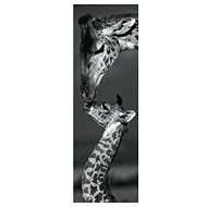 Dino Giraffe panoramic - Jigsaw