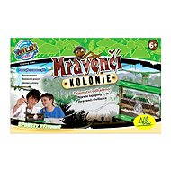 Ant colonies  - Experiment Kit