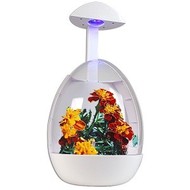 Greenhouse - skleník s osvětlením, sada obsahuje i semena rostlinek, USB  - -