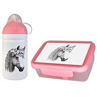 HEALTHY BOTTLE Healthy snack + Bottle 0,5 l VESNA, set - Lunch Box