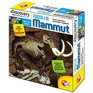 Discovery Mammoth Fossil - Educational Toy