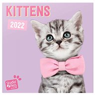 Kalendář 2022 Koťata  - Nástěnný kalendář