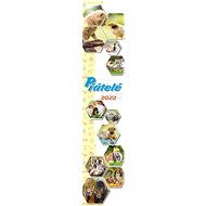 Friends 2022 - wall calendar - Wall Calendar