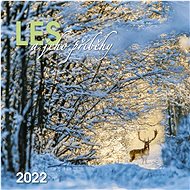 Forest and its stories 2022 - wall calendar - Wall Calendar