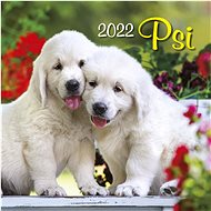 Dogs 2022 - wall calendar - Wall Calendar