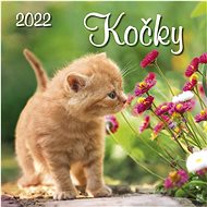 Cats 2022 - wall calendar - Wall Calendar