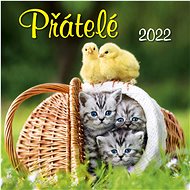 Friends 2022 - wall calendar - Wall Calendar