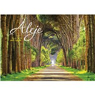 Alleys 2022 - wall calendar - Wall Calendar