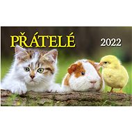 Friends 2022 - desk calendar - Desk Calendar