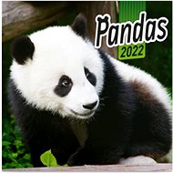 Pandy 2022 calendar - Wall Calendar