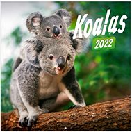 Grid calendar Koala 2022 - Wall Calendar