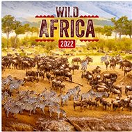 Grid calendar Wild Africa 2022 - Wall Calendar