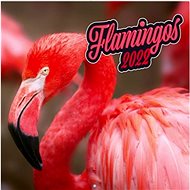Grid calendar Flamingos 2022 - Wall Calendar