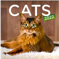 Grid calendar Cats 2022 - Wall Calendar