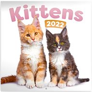 Grid calendar Kittens 2022 - Wall Calendar