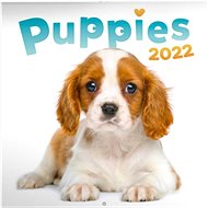 Note calendar Puppies 2022 - Wall Calendar