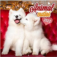 Grid calendar Cubs 2022 - Wall Calendar