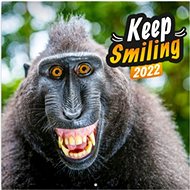 Grid calendar Smile, please. 2022 - Wall Calendar