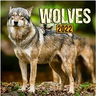 Grid calendar Wolves 2022 - Wall Calendar