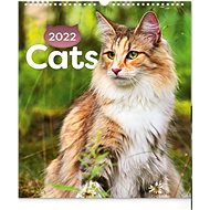 Wall calendar Cats 2022 - Wall Calendar