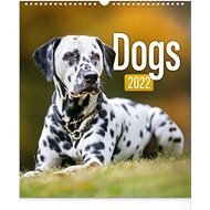 Wall calendar Psi 2022 - Wall Calendar